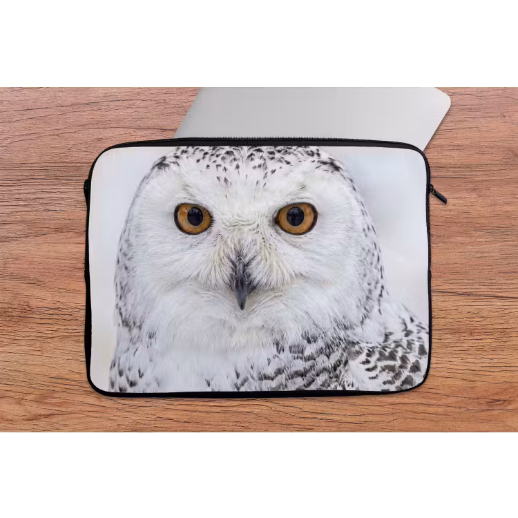 Laptophoes - Sneeuwuil - Oog - Wildlife - Wit — 2