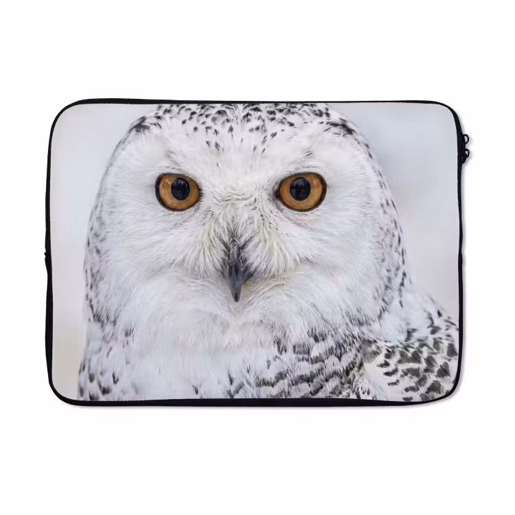 Laptophoes - Sneeuwuil - Oog - Wildlife - Wit — 5