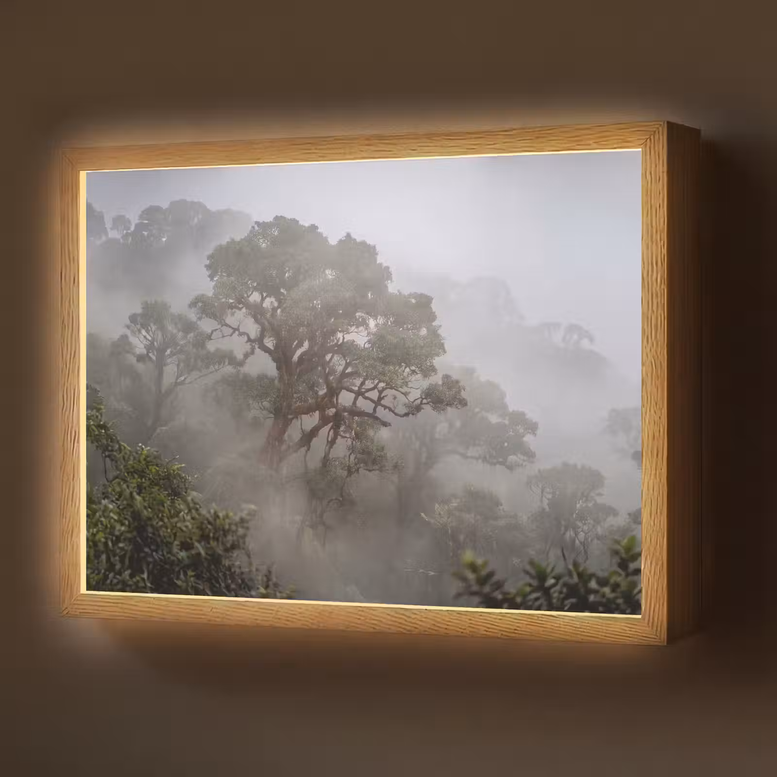 Lightbox - Wandlamp - Boom - Mistig - Bos - Groen - Natuur — 1