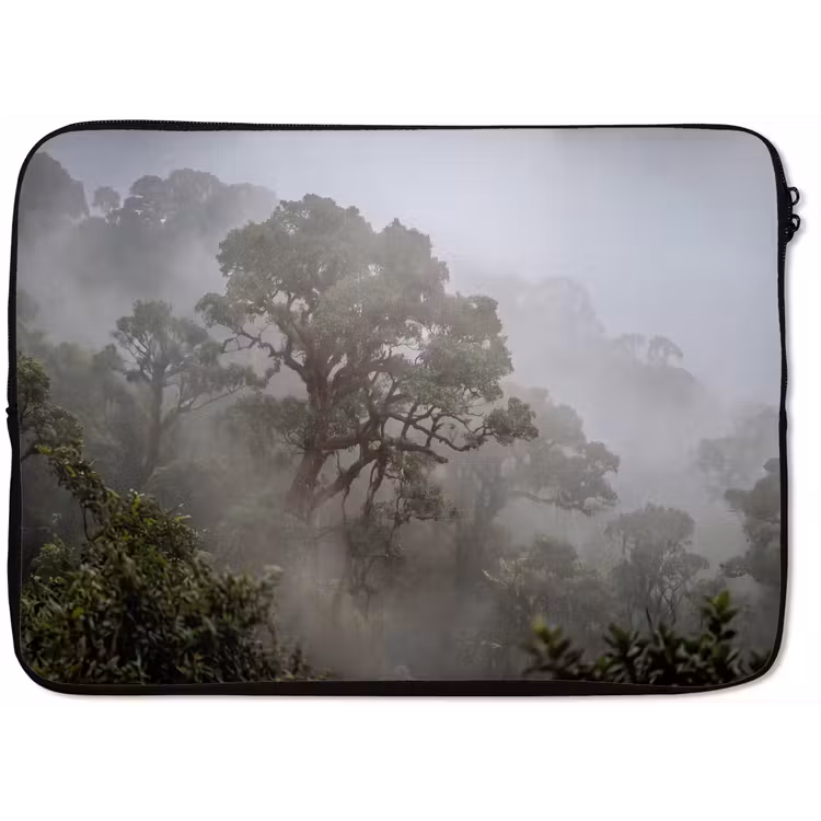 Laptophoes - Boom - Mistig - Bos - Groen - Natuur — 1