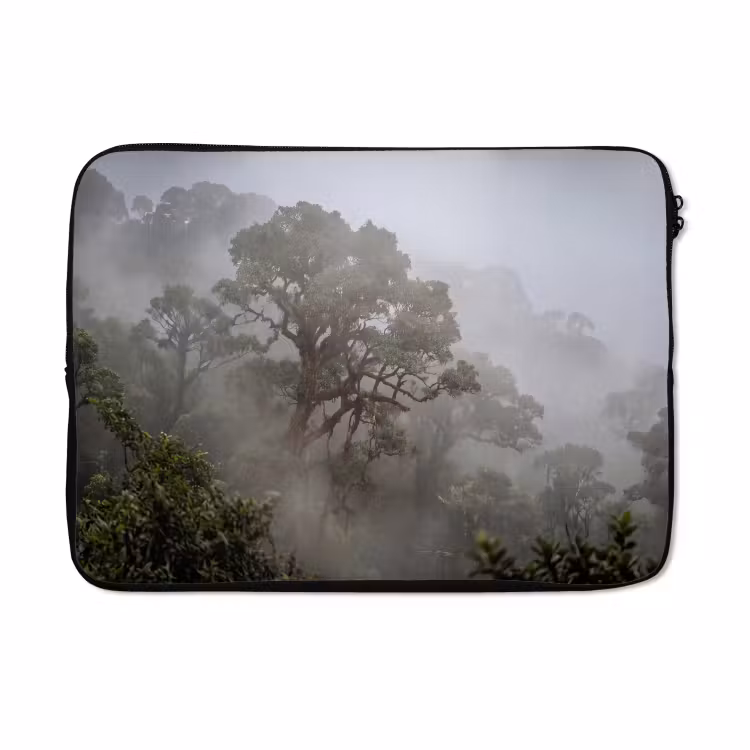 Laptophoes - Boom - Mistig - Bos - Groen - Natuur — 5