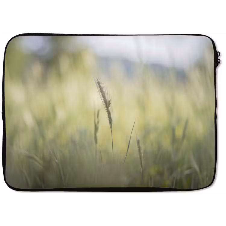 Laptophoes - Graan - Aar - Natuur - Groen - Detail — 1