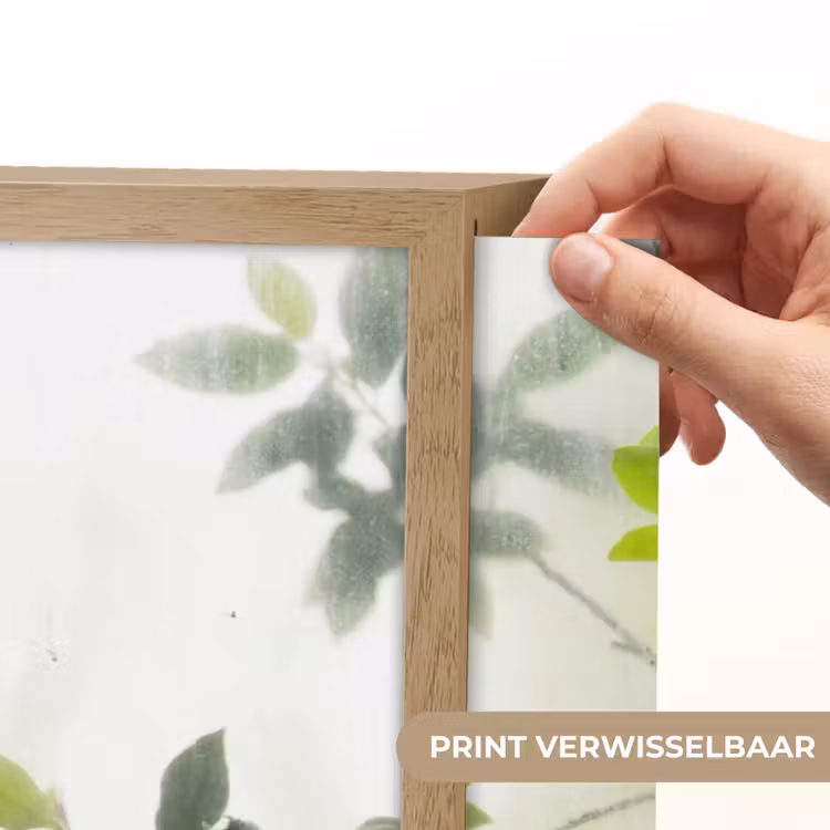 Lightbox - Wandlamp - Blad - Schaduw - Natuur - Abstract - Groen — 5
