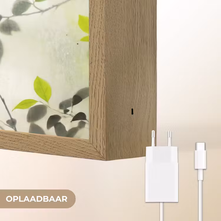 Lightbox - Wandlamp - Blad - Schaduw - Natuur - Abstract - Groen — 7