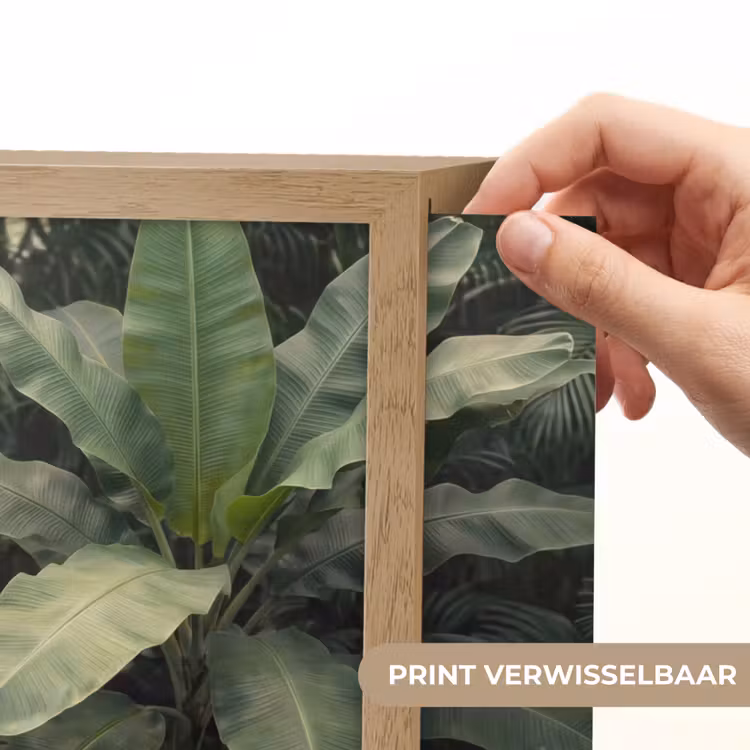 Lightbox - Wandlamp - Bladeren - Groen - Tropisch - Natuur — 5