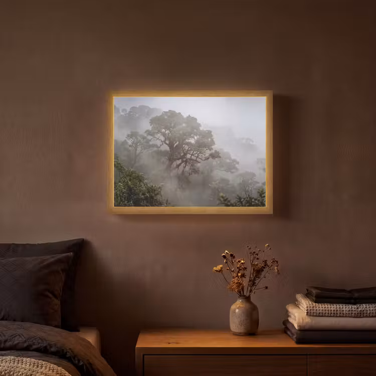 Lightbox - Wandlamp - Boom - Mistig - Bos - Groen - Natuur — 3