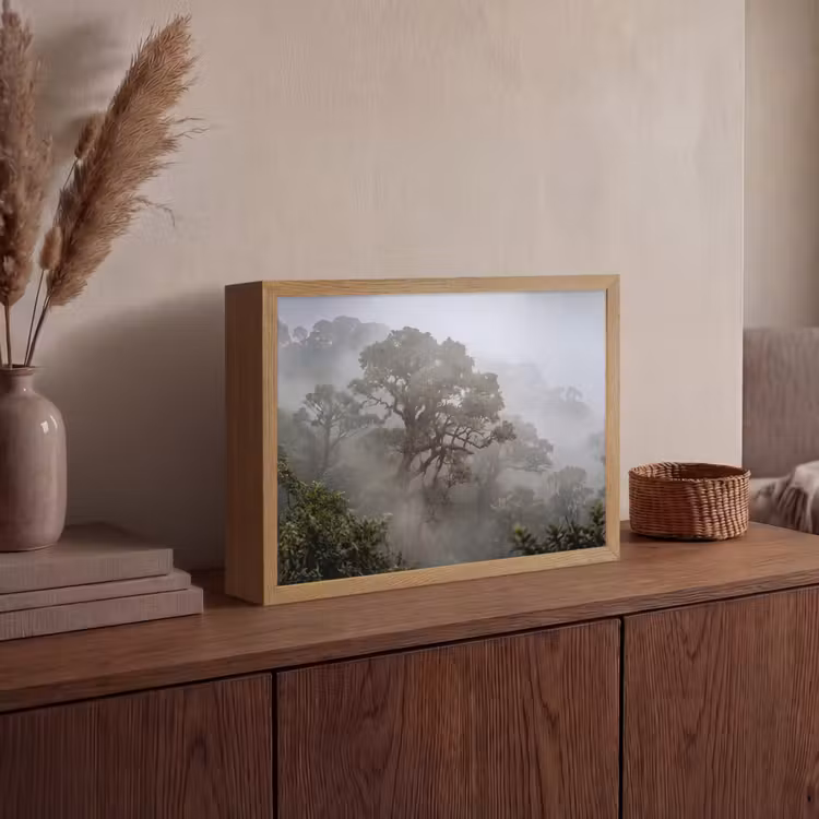 Lightbox - Wandlamp - Boom - Mistig - Bos - Groen - Natuur — 4