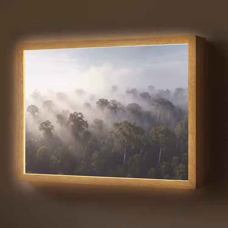 Lightbox - Wandlamp - Bos - Mist - Natuur - Groen — 1