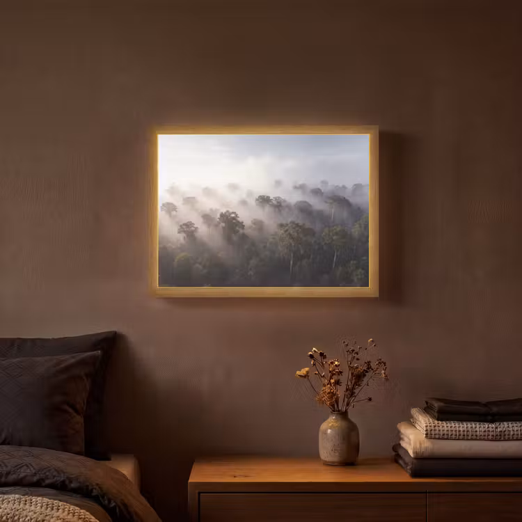 Lightbox - Wandlamp - Bos - Mist - Natuur - Groen — 3