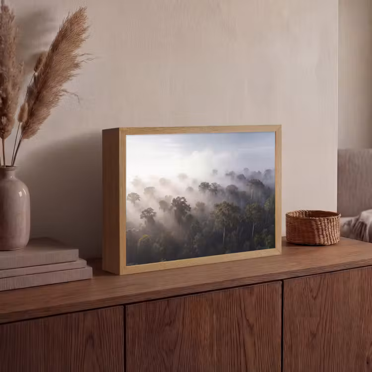 Lightbox - Wandlamp - Bos - Mist - Natuur - Groen — 4