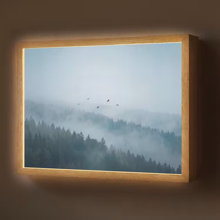 Lightbox - Wandlamp - Bos - Mist - Vogels - Natuur - Groen — 1
