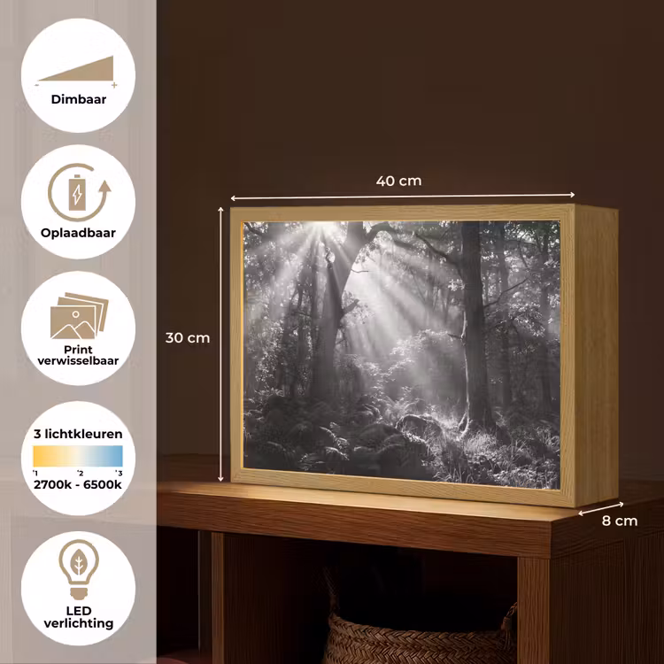 Lightbox - Wandlamp - Bos - Lichtstralen - Natuur - Zwart-wit — 10
