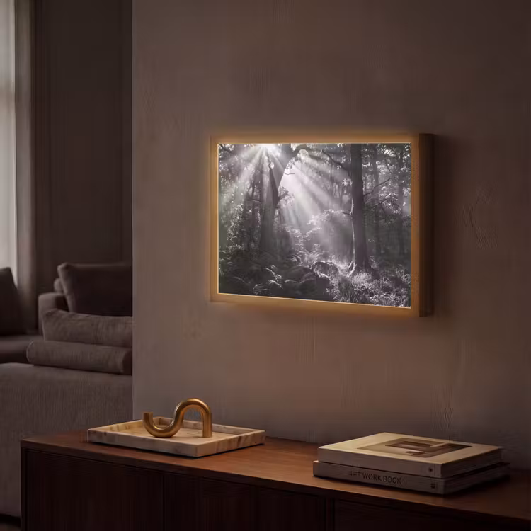 Lightbox - Wandlamp - Bos - Lichtstralen - Natuur - Zwart-wit — 2