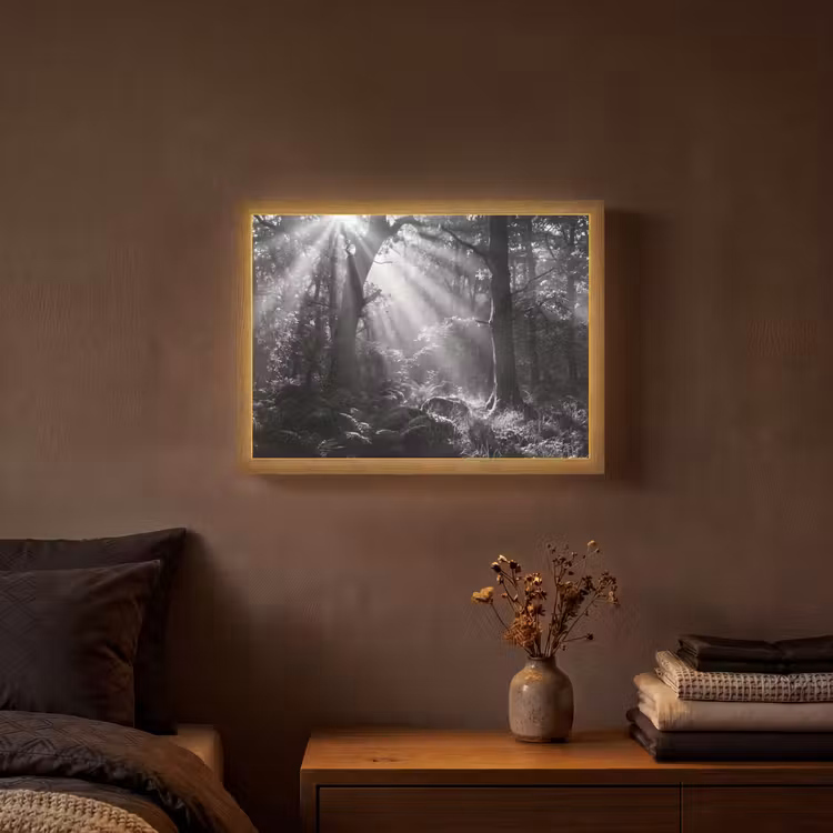 Lightbox - Wandlamp - Bos - Lichtstralen - Natuur - Zwart-wit — 3
