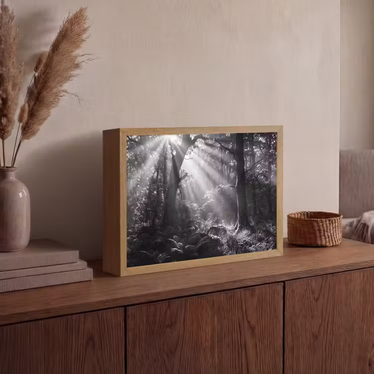 Lightbox - Wandlamp - Bos - Lichtstralen - Natuur - Zwart-wit — 4