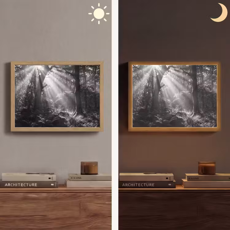 Lightbox - Wandlamp - Bos - Lichtstralen - Natuur - Zwart-wit — 6