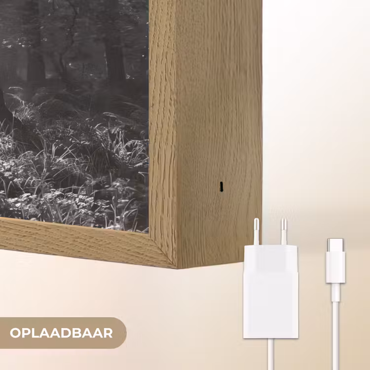 Lightbox - Wandlamp - Bos - Lichtstralen - Natuur - Zwart-wit — 7