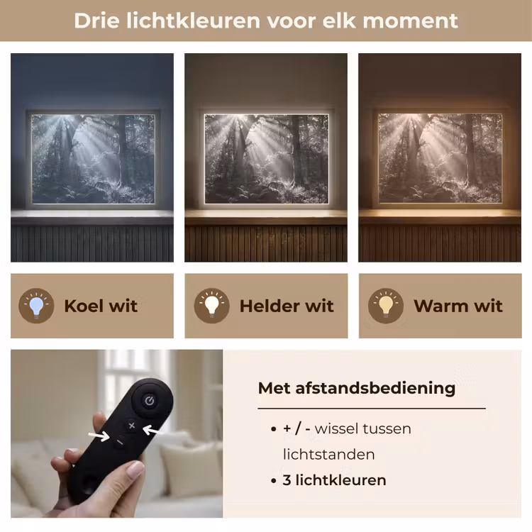 Lightbox - Wandlamp - Bos - Lichtstralen - Natuur - Zwart-wit — 8
