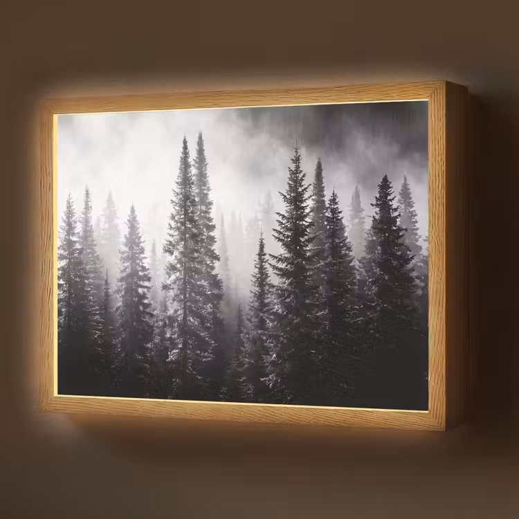 Lightbox - Wandlamp - Bos - Mist - Winter - Monochroom - Natuur — 1