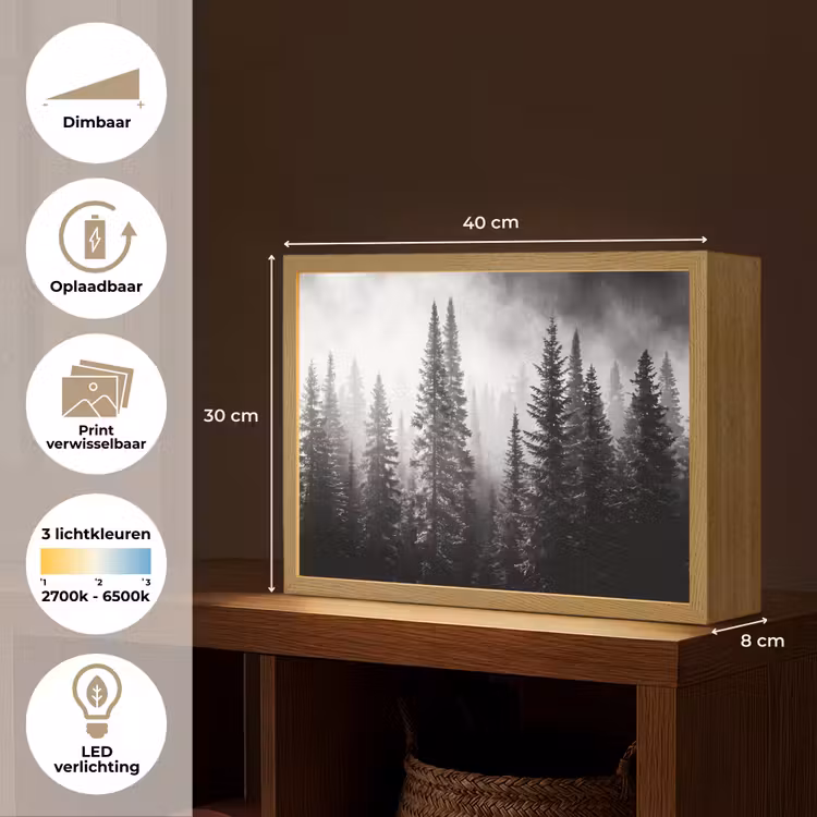 Lightbox - Wandlamp - Bos - Mist - Winter - Monochroom - Natuur — 10