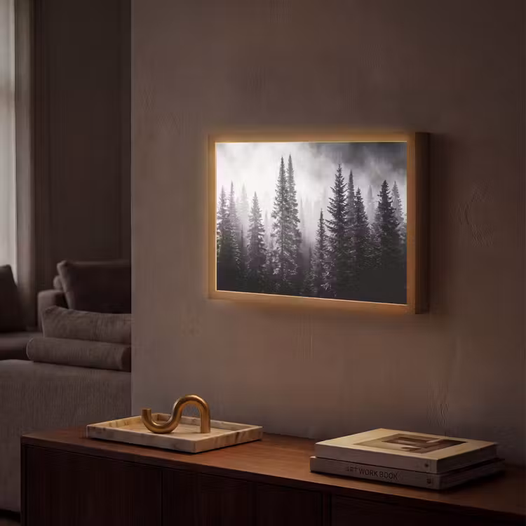 Lightbox - Wandlamp - Bos - Mist - Winter - Monochroom - Natuur — 2