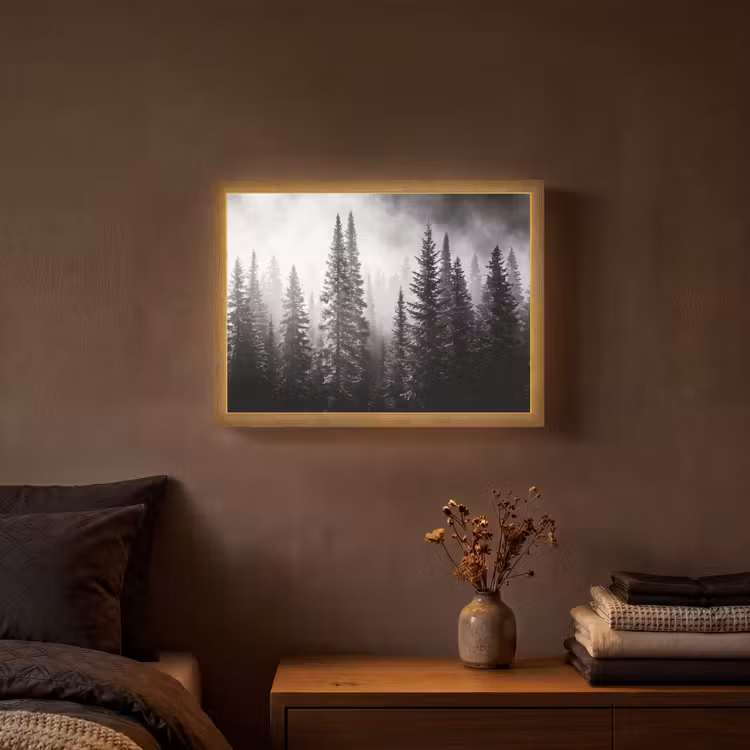 Lightbox - Wandlamp - Bos - Mist - Winter - Monochroom - Natuur — 3