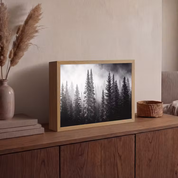 Lightbox - Wandlamp - Bos - Mist - Winter - Monochroom - Natuur — 4