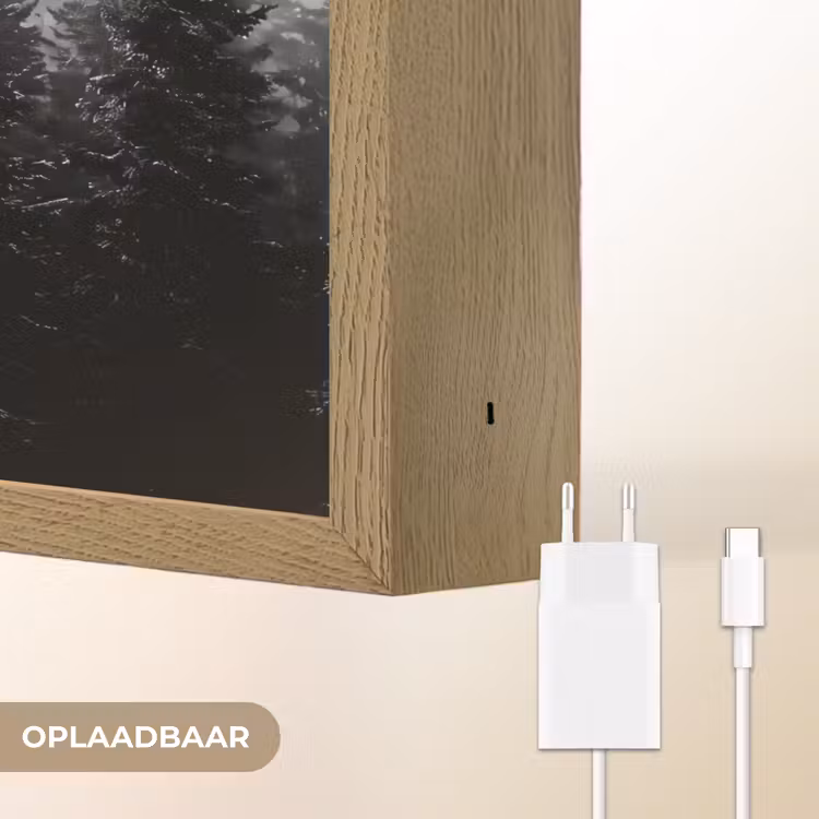 Lightbox - Wandlamp - Bos - Mist - Winter - Monochroom - Natuur — 7
