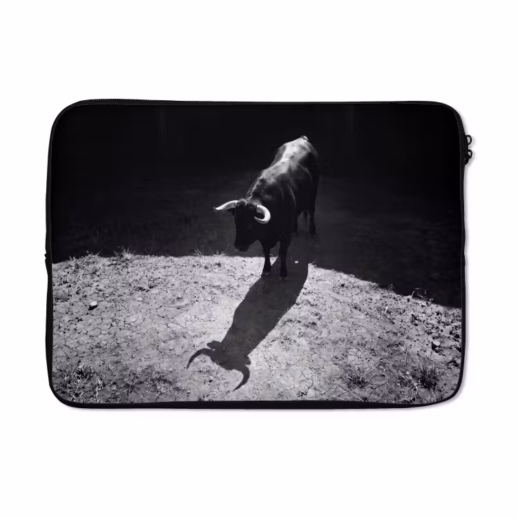 Laptophoes - Stier - Schaduw - Dieren - Contrast - Zwart-wit — 5