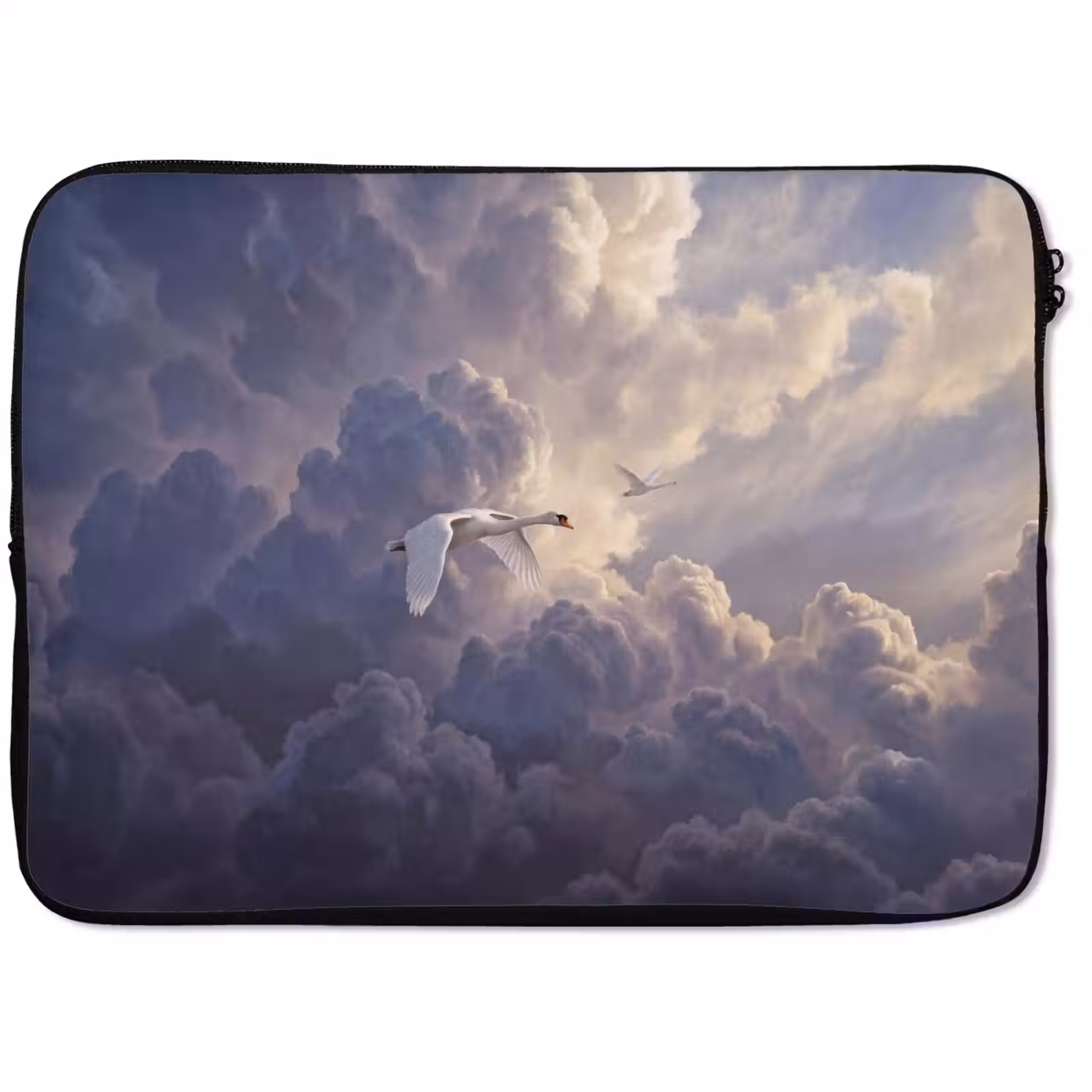 Laptophoes - Vogel - Vliegend - Natuur - Wit - Wolken — 1