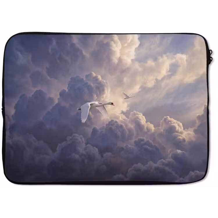 Laptophoes - Vogel - Vliegend - Natuur - Wit - Wolken — 1