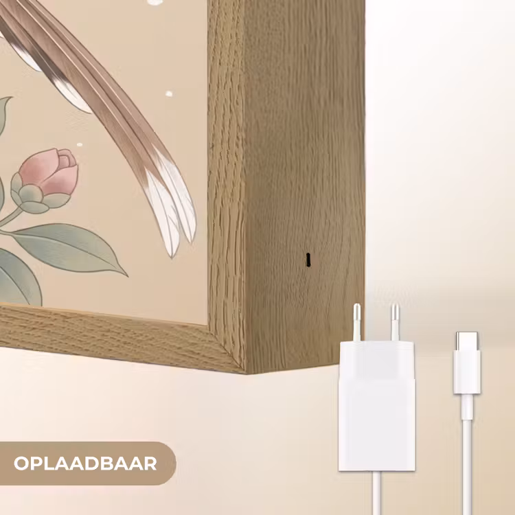 Lightbox - Wandlamp - Bloemen - Vogels - Bloemen — 7
