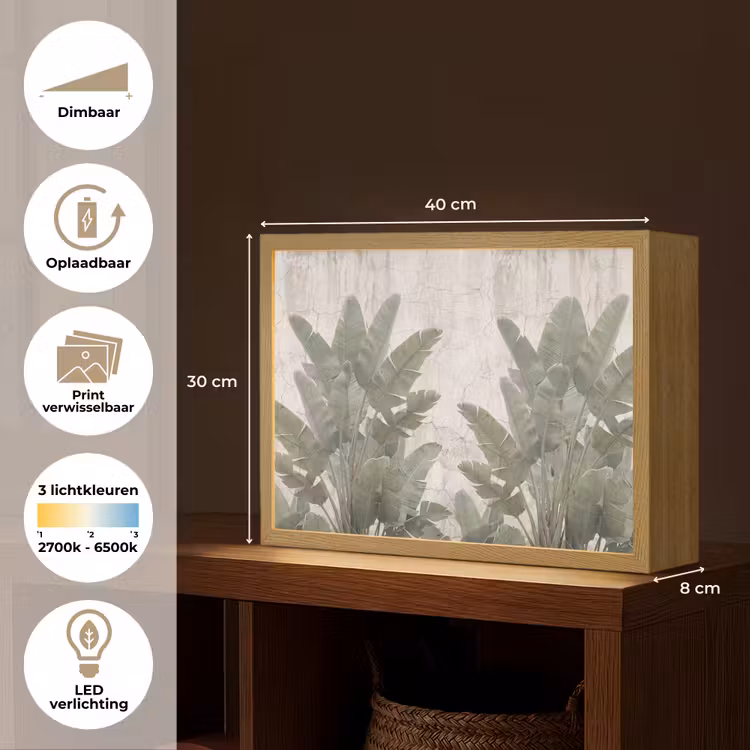 Lightbox - Wandlamp - Bananenbladeren - Beton - Groen — 10