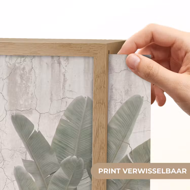 Lightbox - Wandlamp - Bananenbladeren - Beton - Groen — 5