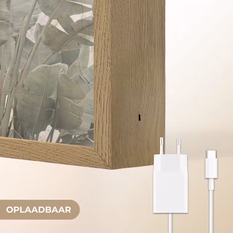 Lightbox - Wandlamp - Bananenbladeren - Beton - Groen — 7