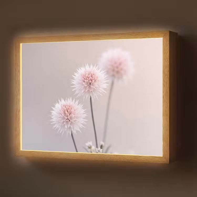 Lightbox - Wandlamp - Bloemen - Bollen - Roze — 1