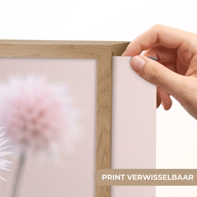 Lightbox - Wandlamp - Bloemen - Bollen - Roze — 5