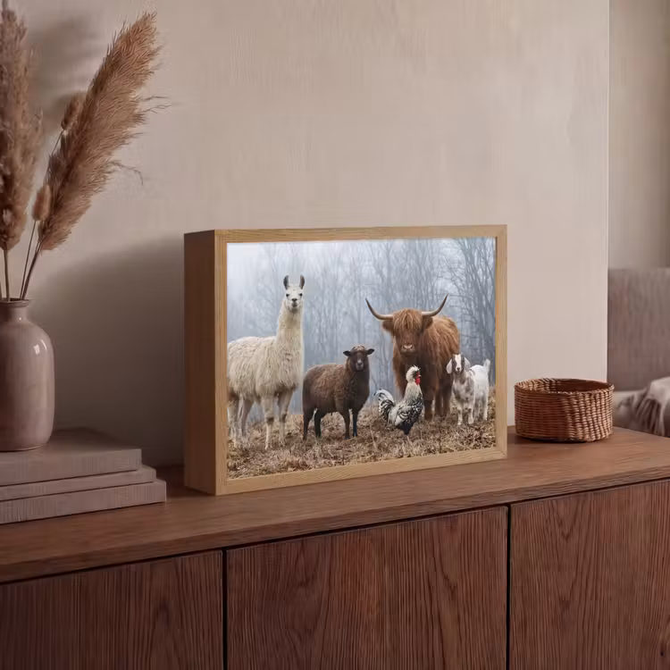 Lightbox - Wandlamp - Boerderijdieren - Groep - Mist - Natuur - Rustiek — 4