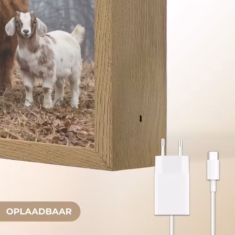 Lightbox - Wandlamp - Boerderijdieren - Groep - Mist - Natuur - Rustiek — 7