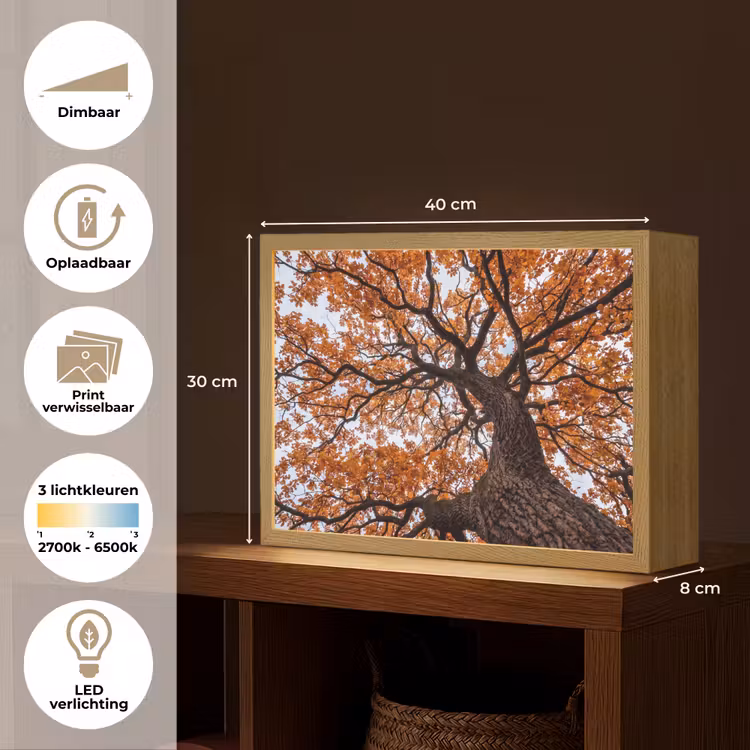 Lightbox - Wandlamp - Boom - Bladerdak - Herfst - Oranje - Sfeervol — 10