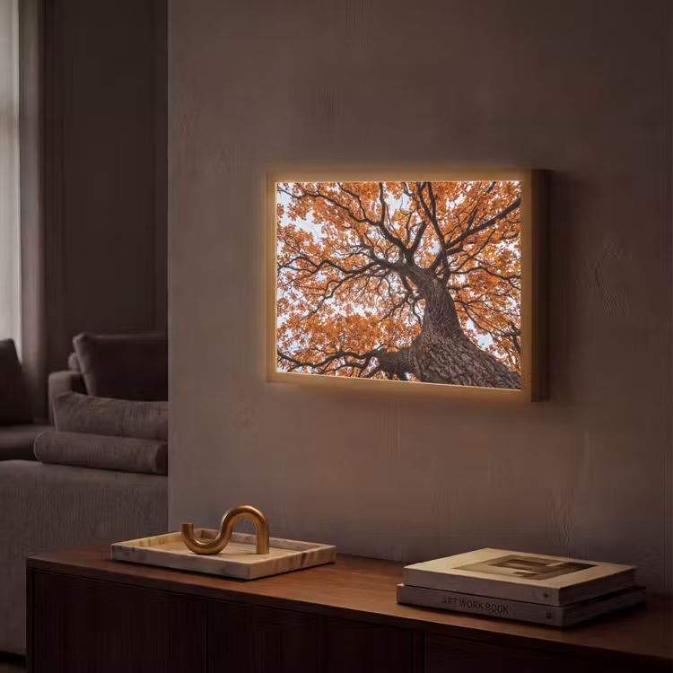 Lightbox - Wandlamp - Boom - Bladerdak - Herfst - Oranje - Sfeervol — 2
