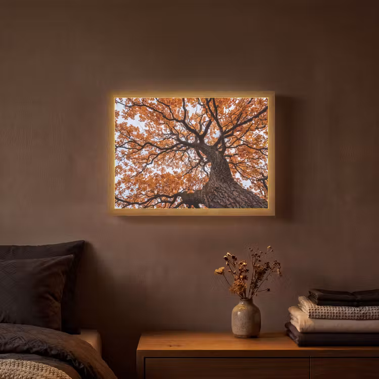 Lightbox - Wandlamp - Boom - Bladerdak - Herfst - Oranje - Sfeervol — 3