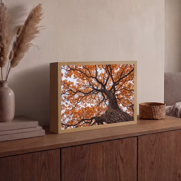 Lightbox - Wandlamp - Boom - Bladerdak - Herfst - Oranje - Sfeervol — 4
