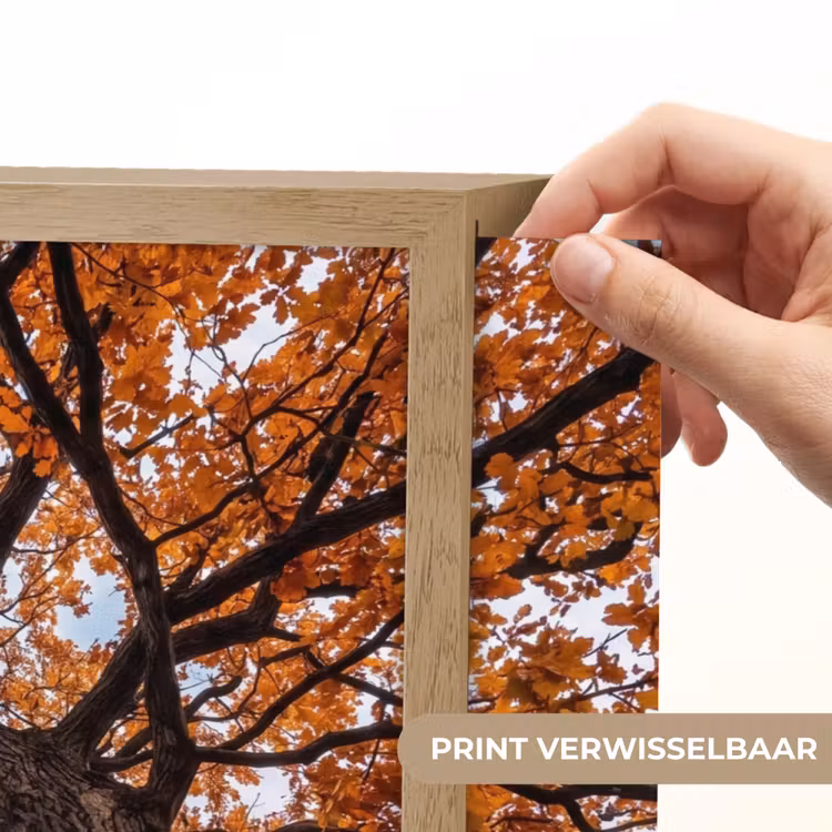 Lightbox - Wandlamp - Boom - Bladerdak - Herfst - Oranje - Sfeervol — 5