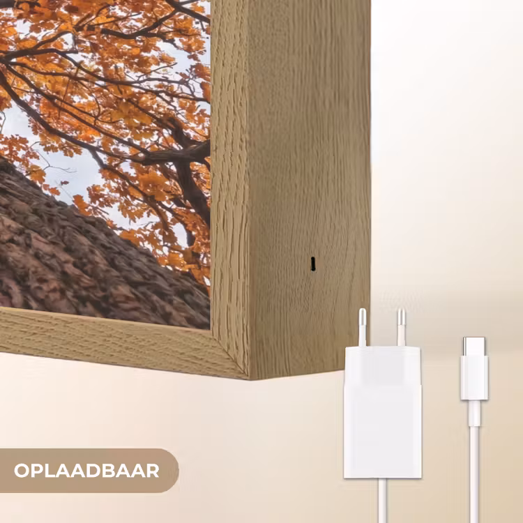 Lightbox - Wandlamp - Boom - Bladerdak - Herfst - Oranje - Sfeervol — 7