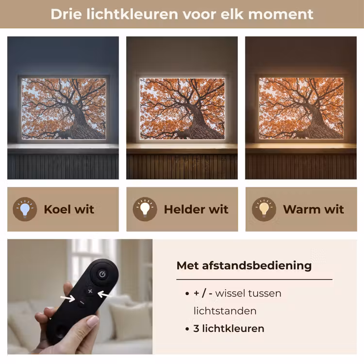 Lightbox - Wandlamp - Boom - Bladerdak - Herfst - Oranje - Sfeervol — 8