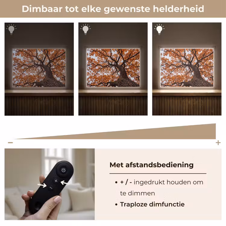Lightbox - Wandlamp - Boom - Bladerdak - Herfst - Oranje - Sfeervol — 9