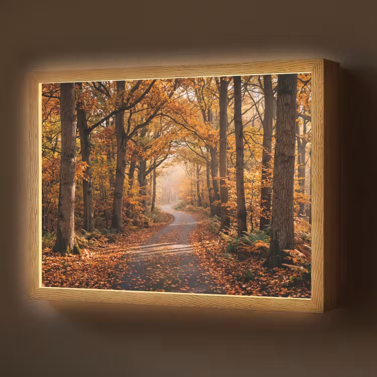Lightbox - Wandlamp - Bospad - Herfstbos - Bladeren - Oranje - Nostalgisch — 1