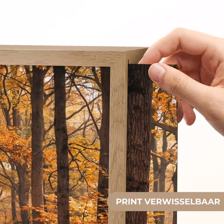 Lightbox - Wandlamp - Bospad - Herfstbos - Bladeren - Oranje - Nostalgisch — 5