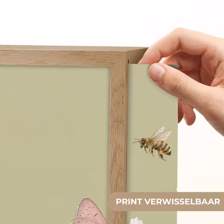 Lightbox - Wandlamp - Botanisch - Bloemen - Kleurrijk — 5